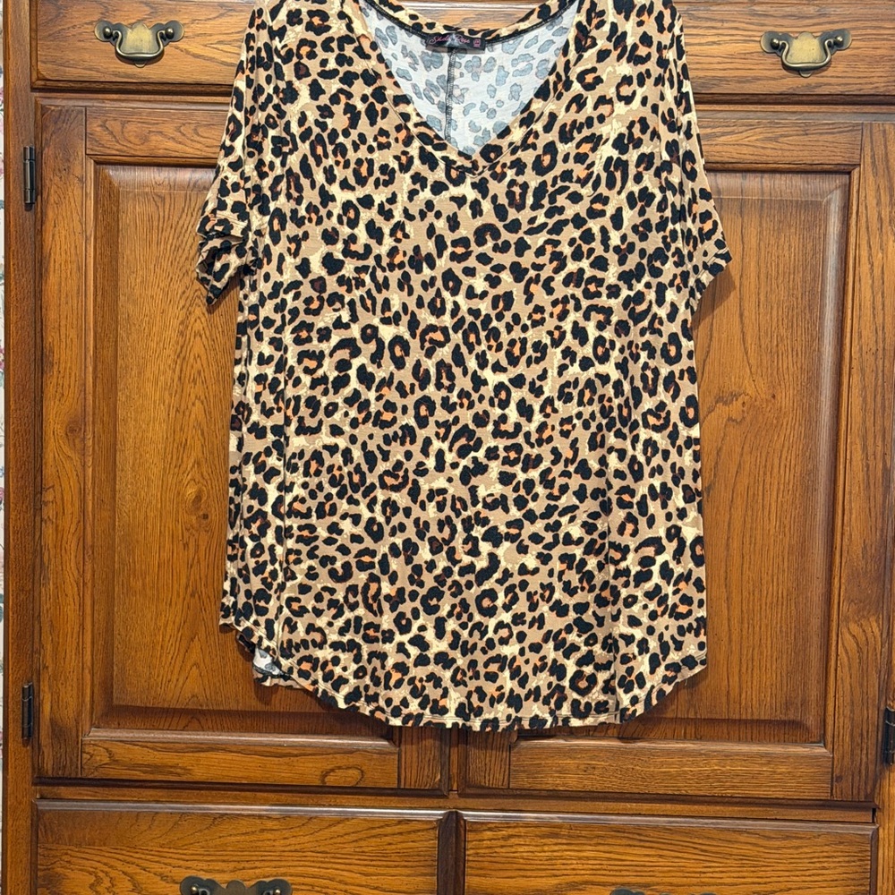 Leopard Print V-Neck Tunic Top